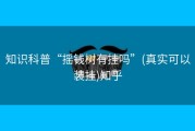 知识科普“摇钱树有挂吗”(真实可以装挂)知乎