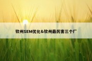 钦州SEM优化&amp;钦州最厉害三个厂