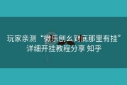 玩家亲测“微乐刨幺到底那里有挂”详细开挂教程分享 知乎