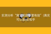 实测分析“窝龙到底那里有挂”(真实可以装挂)知乎