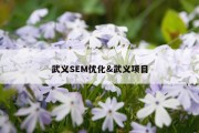 武义SEM优化&amp;武义项目