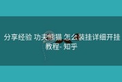  分享经验 功夫熊猫 怎么装挂详细开挂教程- 知乎