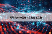 尼勒克SEM优化&amp;尼勒克怎么样