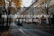 揭秘2023年销售的技巧与话术 高效话术 新手必看30招