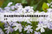 营山关键词排名&amp;营山实施县级重点项目172个