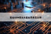 龙山SEM优化&amp;龙山系统怎么样