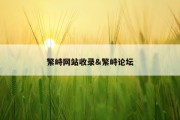 繁峙网站收录&amp;繁峙论坛