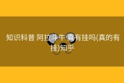  知识科普 阿拉斗牛 真有挂吗(真的有挂)知乎