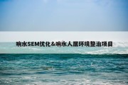 响水SEM优化&amp;响水人居环境整治项目