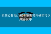  实测必看 新八戒 到底有挂吗确实可以开挂-知乎