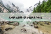 武陟网站收录&amp;武陟官网焦作东站