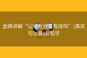 金牌讲解“山烽在线真有挂吗”(真实可以装挂)知乎