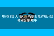  知识科普 天马大厅 有没有挂详细开挂教程分享 知乎
