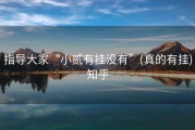 指导大家“小贰有挂没有”(真的有挂)知乎