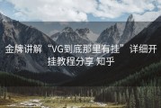 金牌讲解“VG到底那里有挂”详细开挂教程分享 知乎