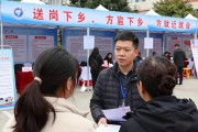 信宜招聘会 159个岗位送岗下乡