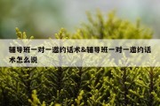 辅导班一对一邀约话术&amp;辅导班一对一邀约话术怎么说