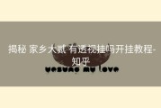  揭秘 家乡大贰 有透视挂吗开挂教程-知乎