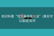 知识科普“欢喜麻将有挂没”(真实可以装挂)知乎