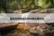 临川SEM优化&amp;SEm优化是什么