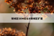 钢城区SEM优化&amp;钢城区扩建