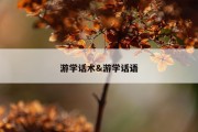 游学话术&amp;游学话语