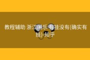  教程辅助 浙江闲乐 有挂没有(确实有挂)-知乎