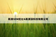 新源SEM优化&amp;新源深科技有限公司