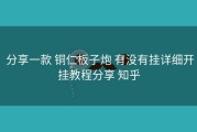  分享一款 铜仁板子炮 有没有挂详细开挂教程分享 知乎