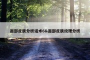 面部皮肤分析话术6&amp;面部皮肤纹理分析