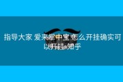  指导大家 爱来掌中宝 怎么开挂确实可以开挂-知乎