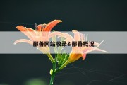 鄯善网站收录&amp;鄯善概况