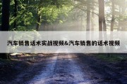 汽车销售话术实战视频&amp;汽车销售的话术视频
