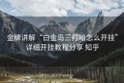 金牌讲解“白金岛三打哈怎么开挂”详细开挂教程分享 知乎