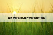 软件定制话术&amp;软件定制销售好做吗