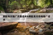 刷脸支付推广方案话术&amp;刷脸支付市场推广话术