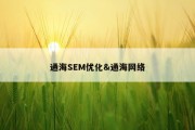 通海SEM优化&amp;通海网络