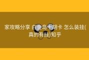  家攻略分享 白金岛十胡卡 怎么装挂(真的有挂)知乎