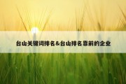 台山关键词排名&amp;台山排名靠前的企业