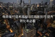 电商催付话术揭秘 5招高效技巧 提升转化率必看