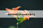 洛川SEM优化&amp;SEm优化是什么