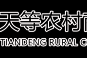 广西天等农村商业银行2026年春季新员工招聘启事