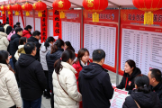辰溪2025年招聘会借年货展，让返乡人在家门口谋好工作