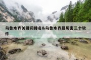 乌鲁木齐关键词排名&amp;乌鲁木齐最厉害三个软件
