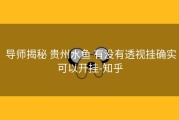  导师揭秘 贵州水鱼 有没有透视挂确实可以开挂-知乎
