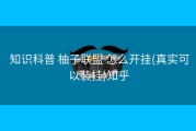  知识科普 柚子联盟 怎么开挂(真实可以装挂)知乎