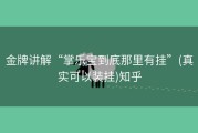 金牌讲解“掌乐宝到底那里有挂”(真实可以装挂)知乎