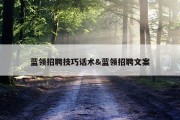 蓝领招聘技巧话术&amp;蓝领招聘文案
