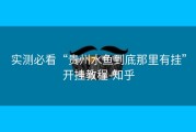 实测必看“贵州水鱼到底那里有挂”开挂教程-知乎