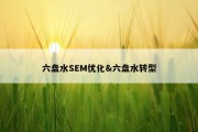 六盘水SEM优化&amp;六盘水转型